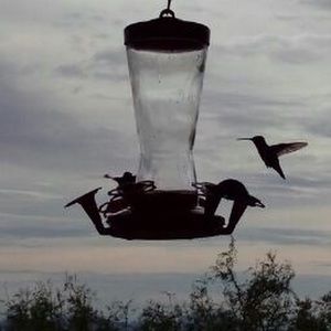 Meet your Posher, Ana or tony